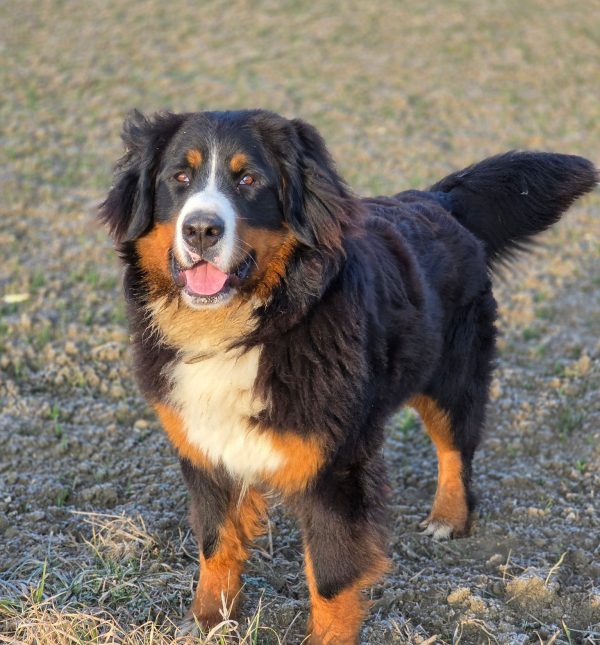 WhatsApp Image 2025-11-16 at 21.15.46 (2)